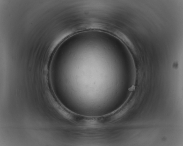 X0000093380798200710111454