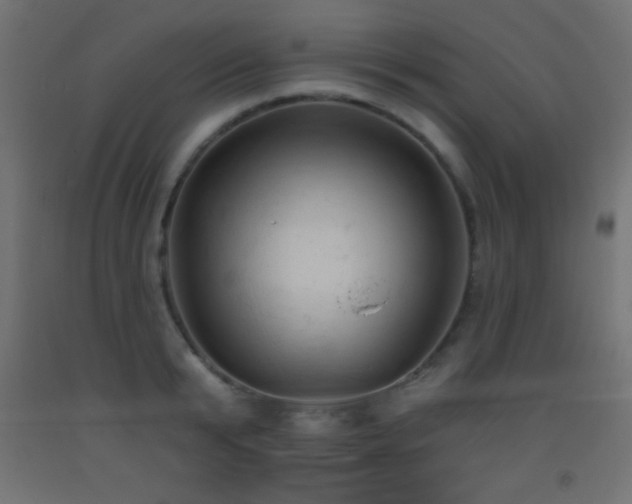X0000093380799200710111454