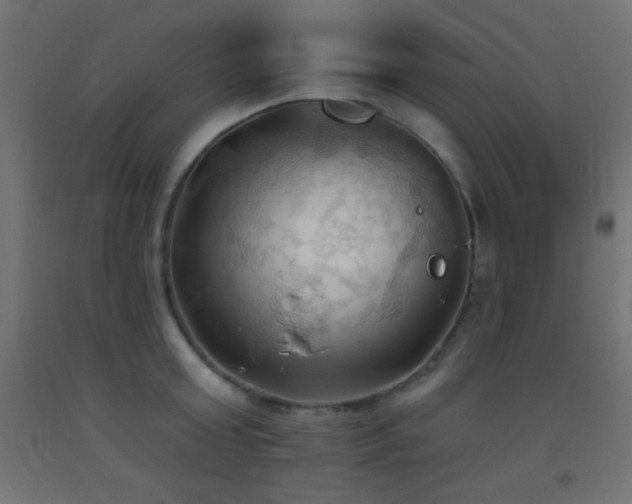 X0000093380803200710111454