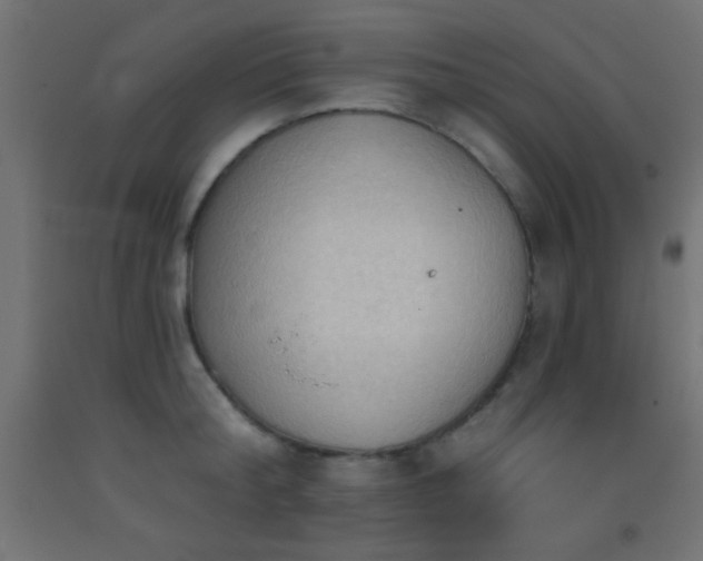 X0000093380804200710111454