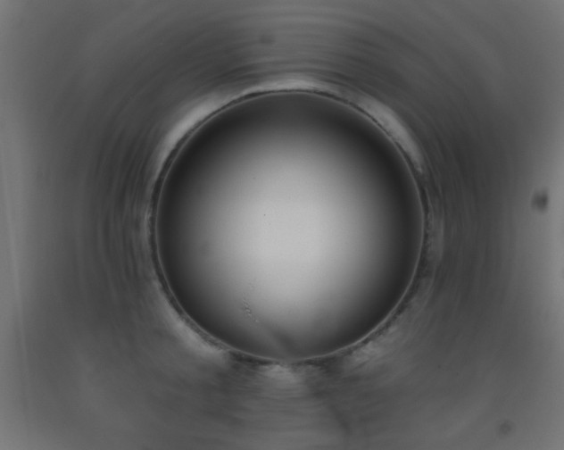 X0000093380805200710111454
