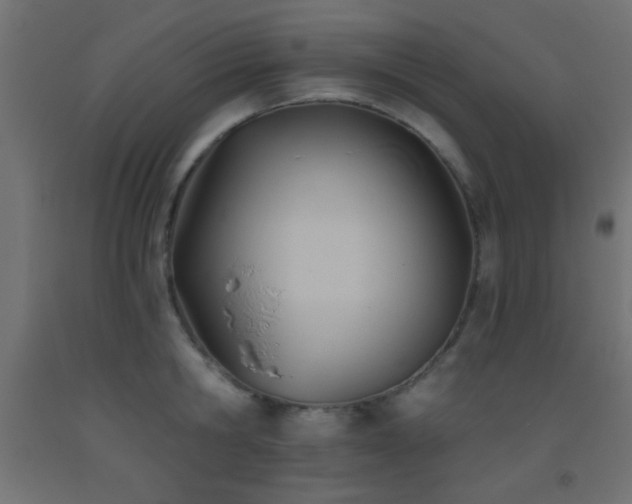 X0000093380806200710111454