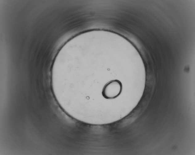 X0000093380807200710111454
