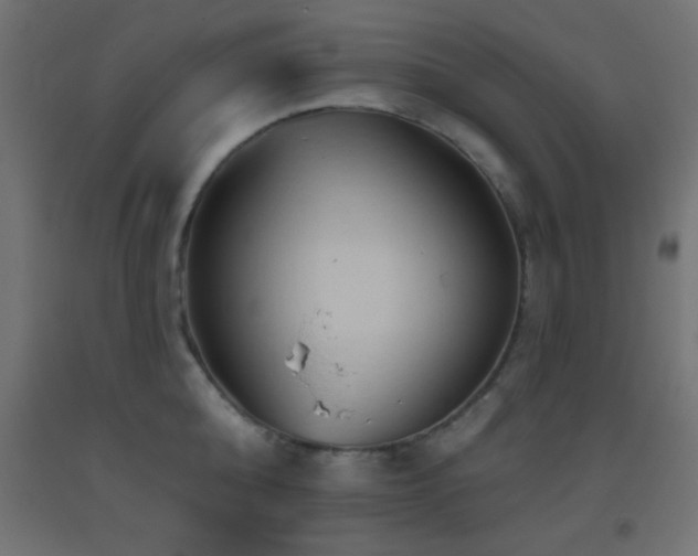 X0000093380808200710111454