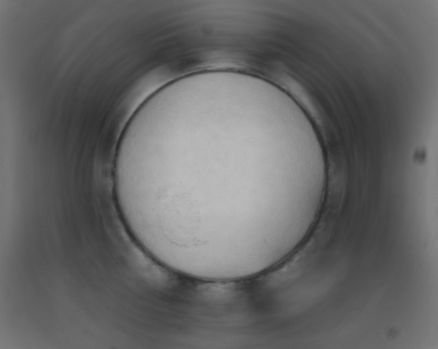 X0000093380810200710111454