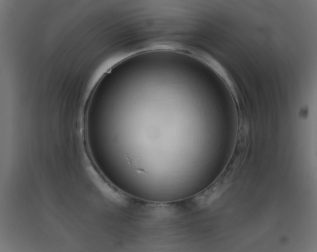X0000093380811200710111454
