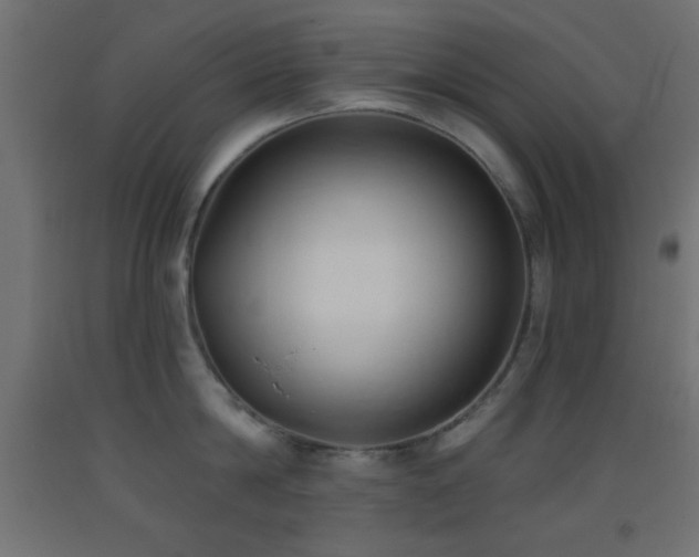 X0000093380814200710111454