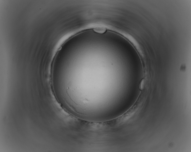 X0000093380815200710111454