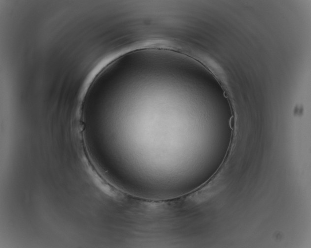 X0000093380816200710111454