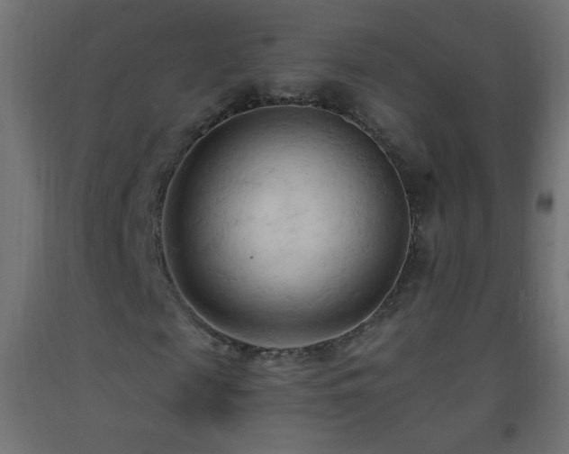 X0000093380817200710111453