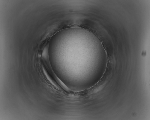 X0000093380818200710111453
