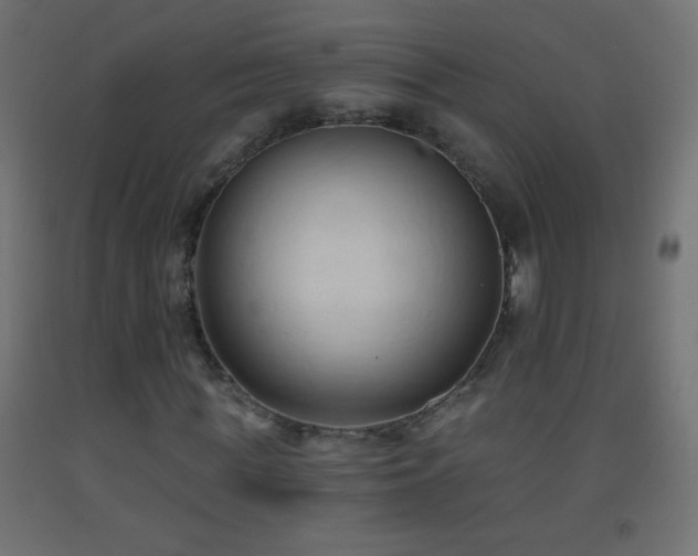 X0000093380819200710111453