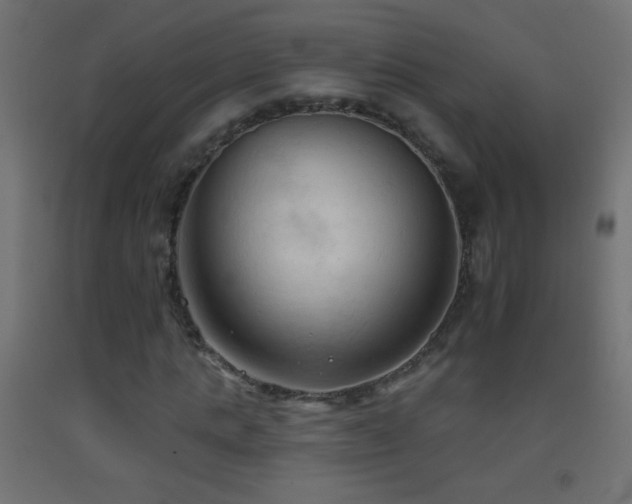 X0000093380821200710111453