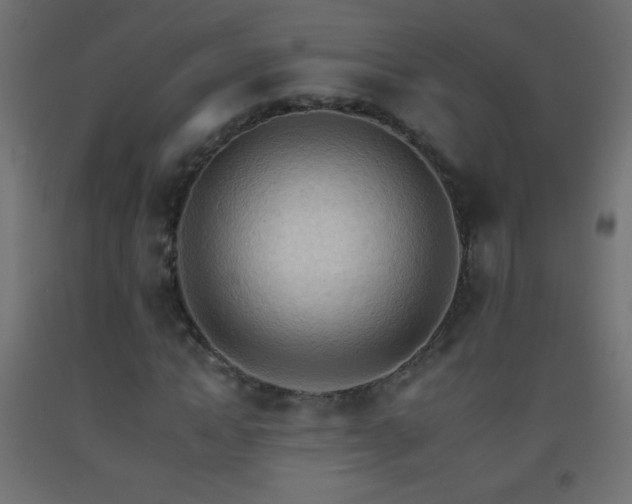 X0000093380822200710111453