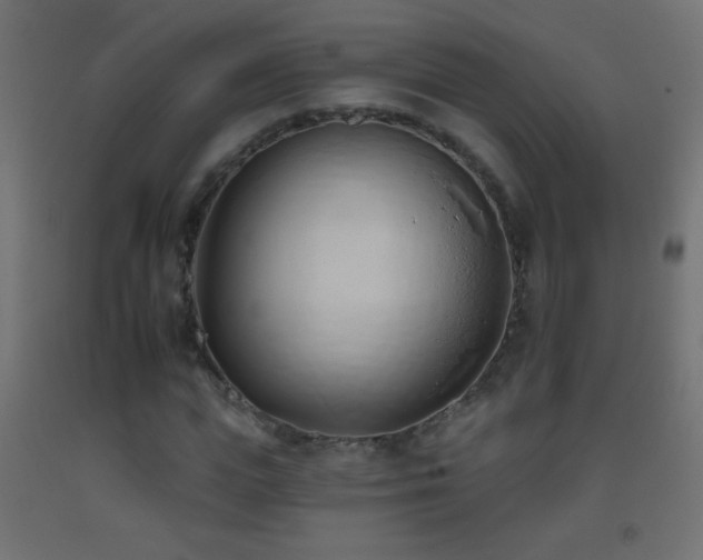 X0000093380823200710111453