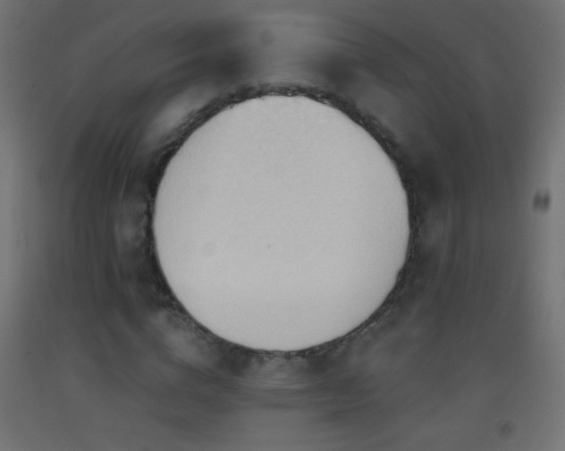 X0000093380824200710111453