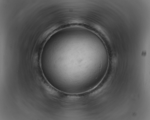 X0000093380825200710111453