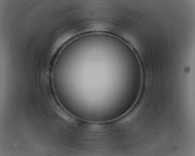 X0000093380827200710111453