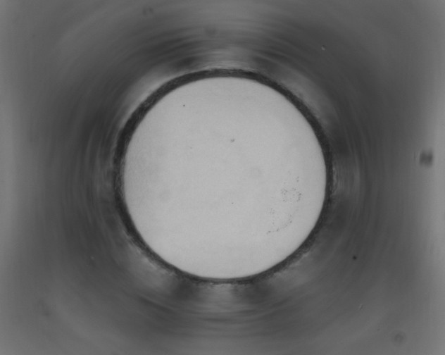 X0000093380828200710111453
