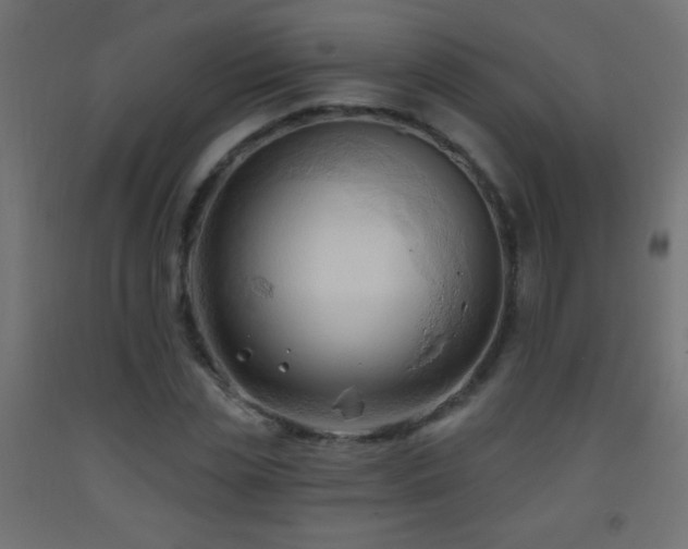 X0000093380829200710111453