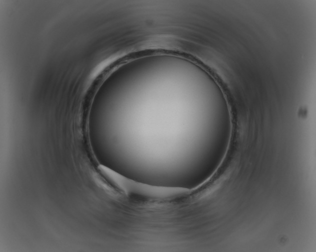 X0000093380830200710111453