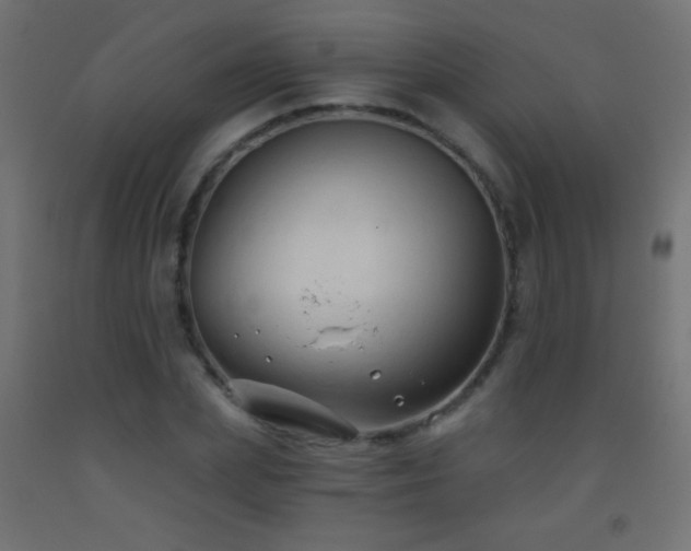 X0000093380831200710111453