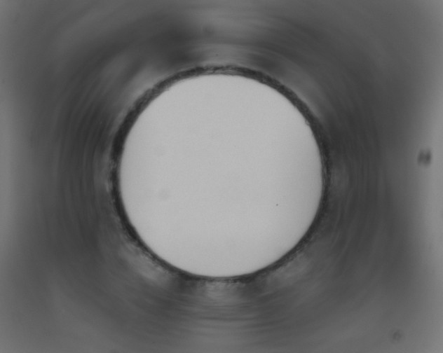 X0000093380832200710111453