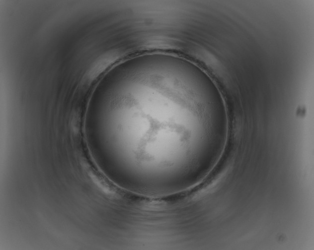 X0000093380833200710111453