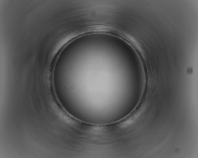 X0000093380835200710111453