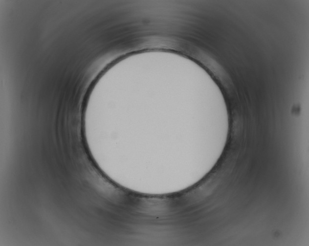 X0000093380836200710111453