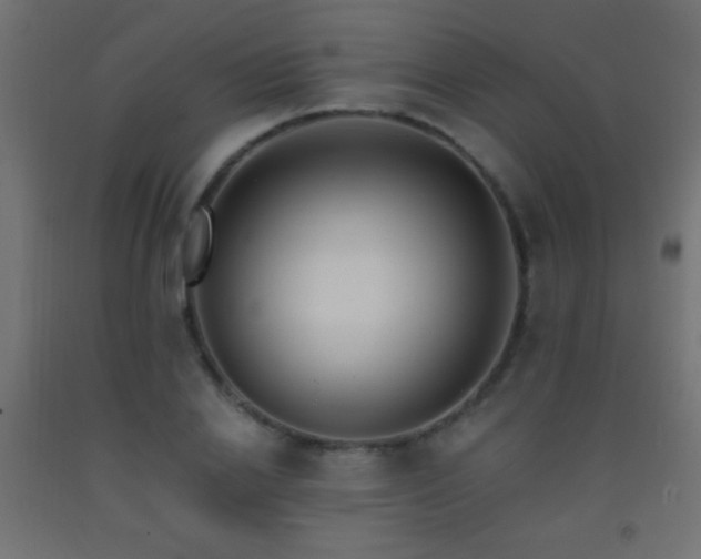 X0000093380838200710111453