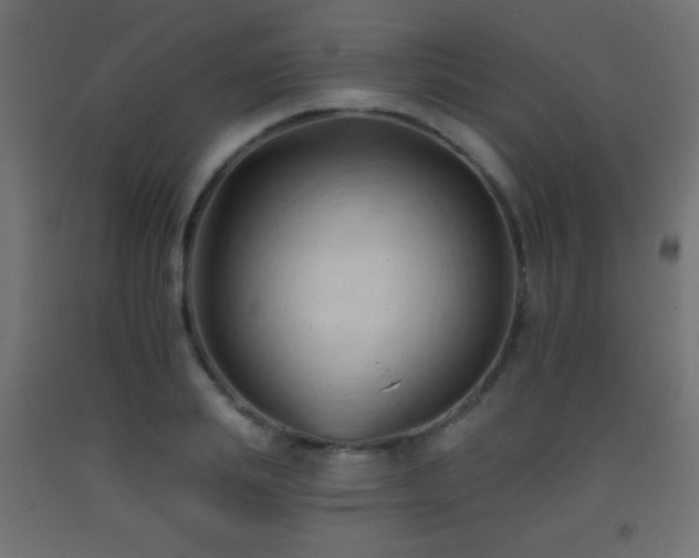 X0000093380839200710111453