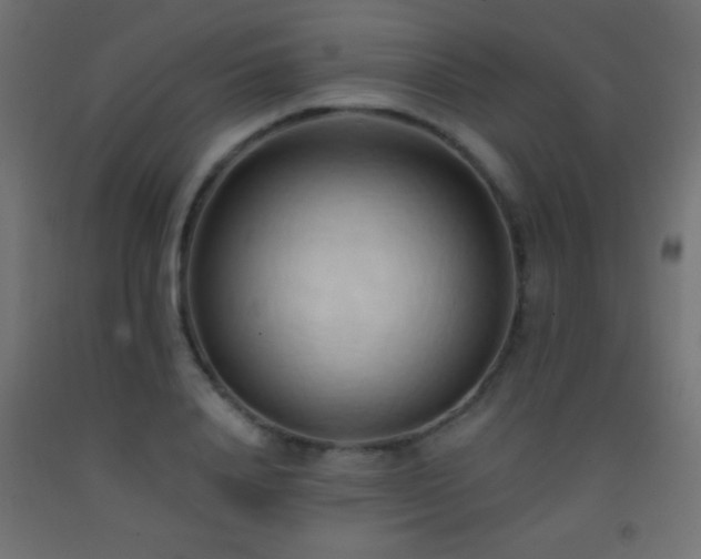 X0000093380840200710111453