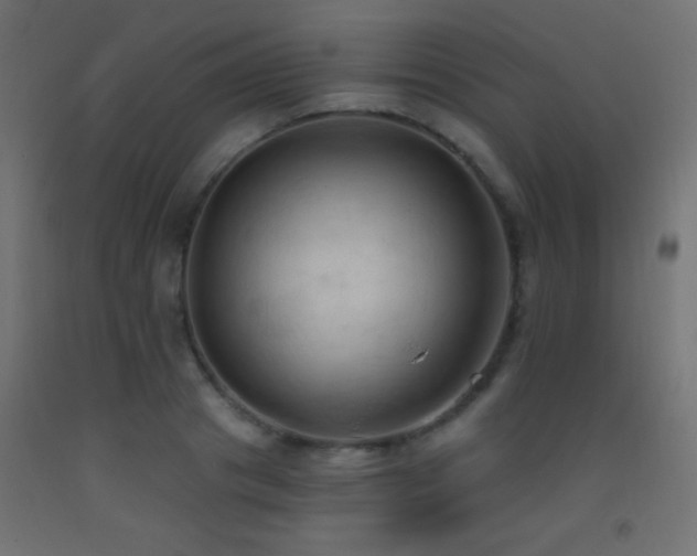 X0000093380841200710111453