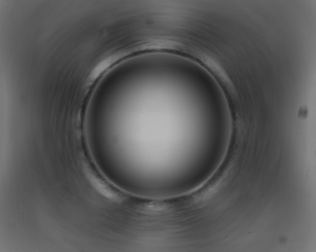 X0000093380842200710111453