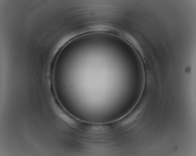 X0000093380843200710111453