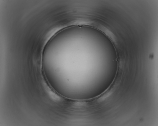 X0000093380844200710111453