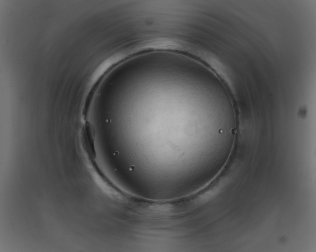 X0000093380845200710111453