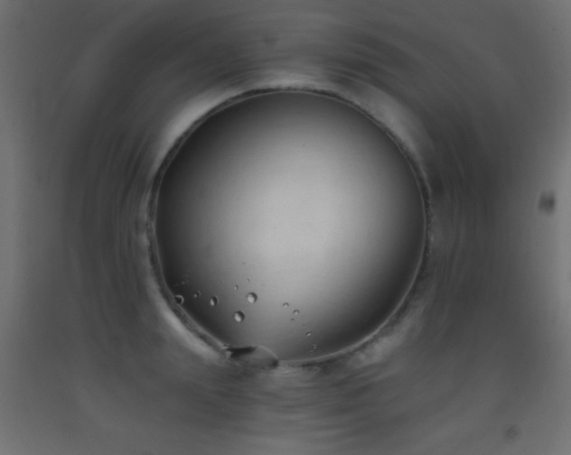 X0000093380847200710111454