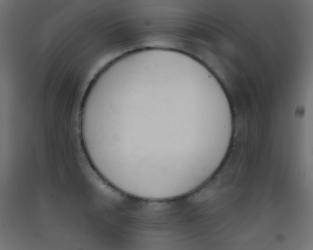 X0000093380848200710111454