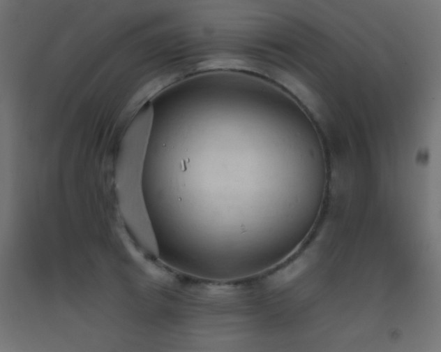 X0000093380849200710111454