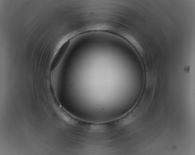 X0000093380850200710111454