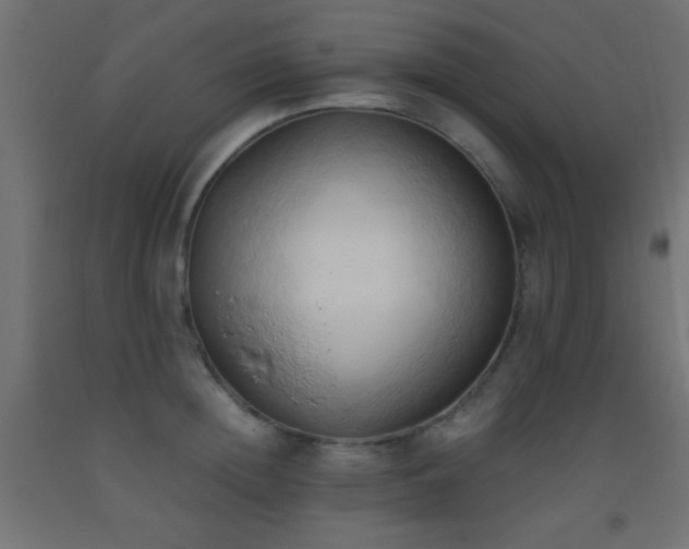 X0000093380852200710111454