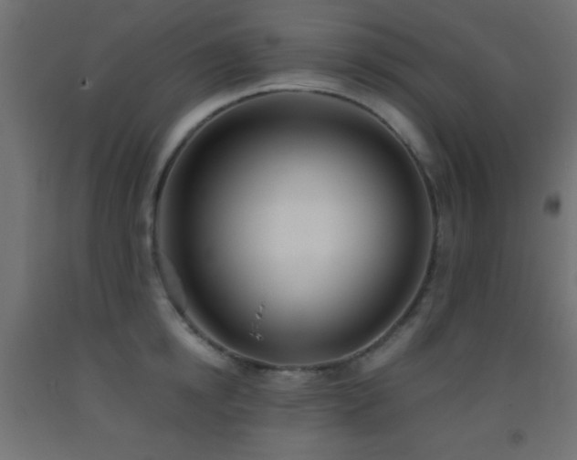 X0000093380854200710111454