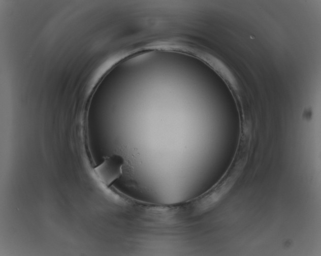 X0000093380855200710111454