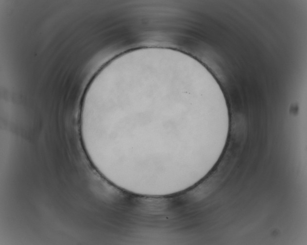 X0000093380856200710111454