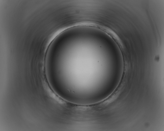 X0000093380860200710111454