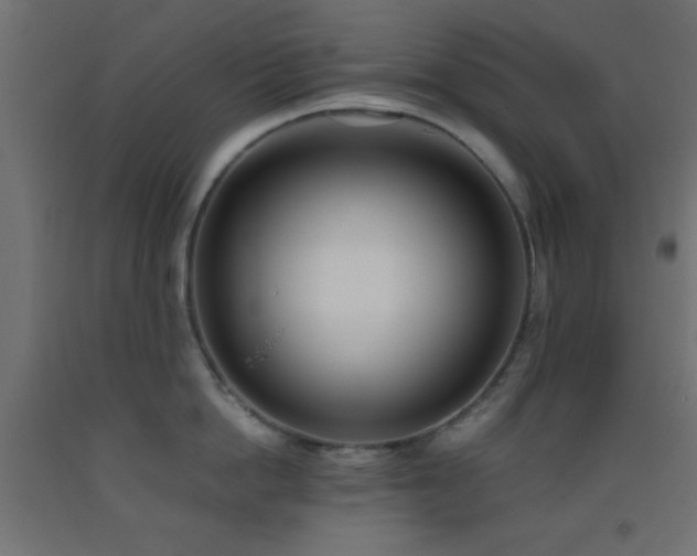 X0000093380862200710111454