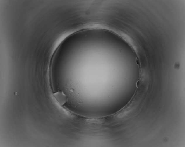 X0000093380863200710111454