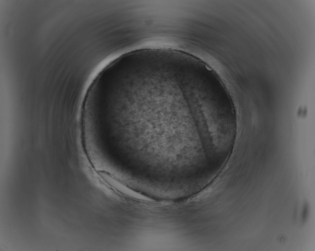 X0000093380864200710111454